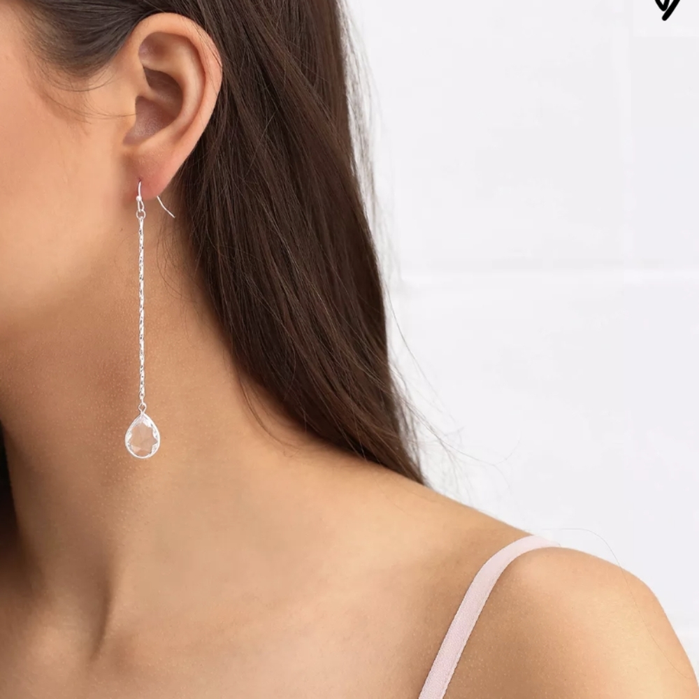 NWT Julien Silver Drop Earrings